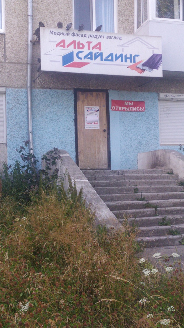 Мастера своего дела