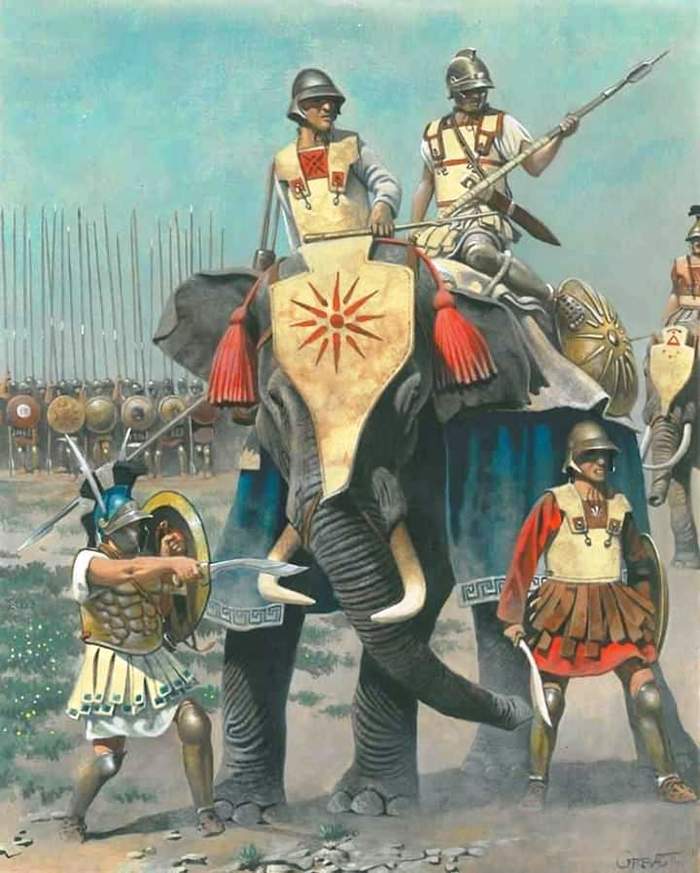 War elephants in the Carthaginian armies - History (science), Carthage, Rome, War elephants, Punic Wars, Antiquity, Longpost