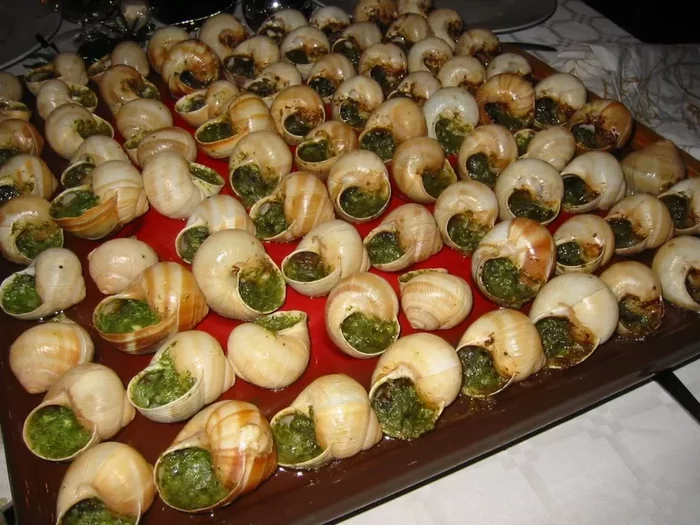 Snail. Just a snail - My, Snail, Grape snail, Cooking, Dacha, Video, Longpost