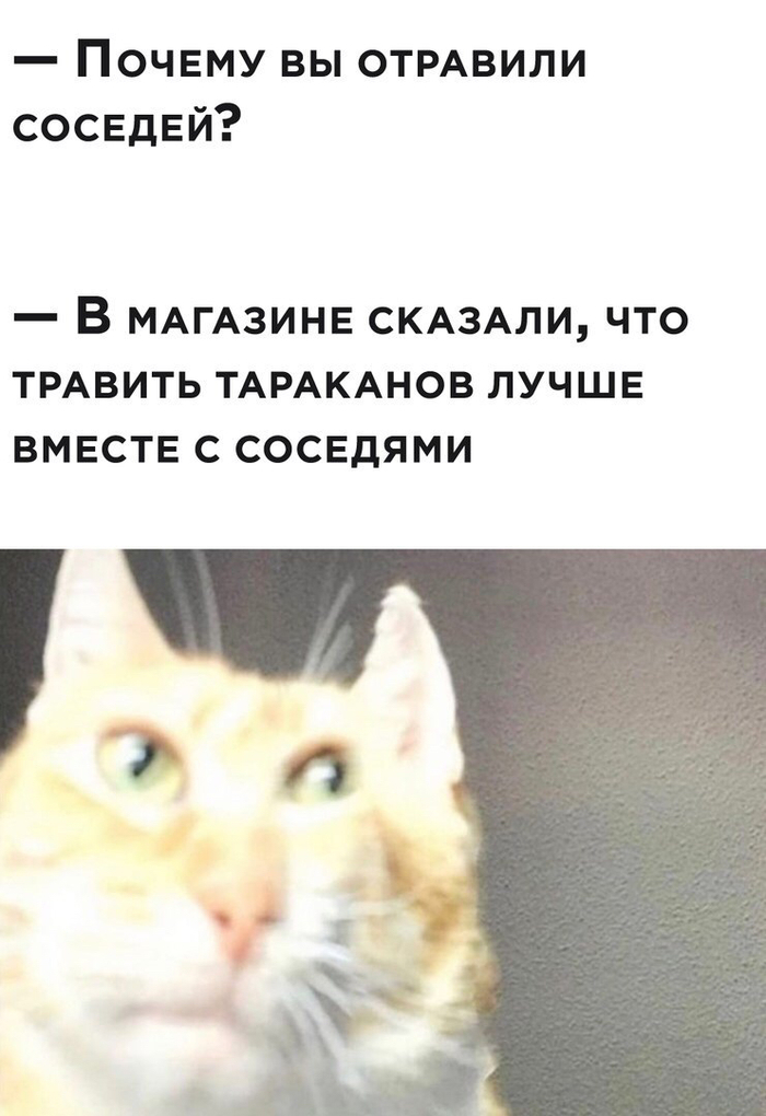    , ,   , 
