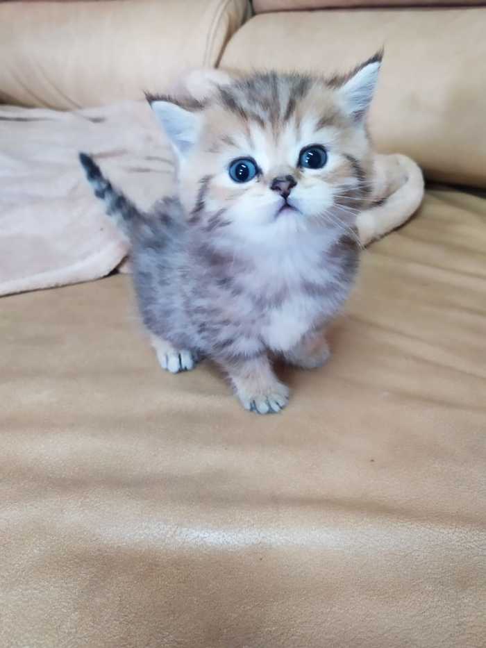 ����� �� ���� �������������� ����������