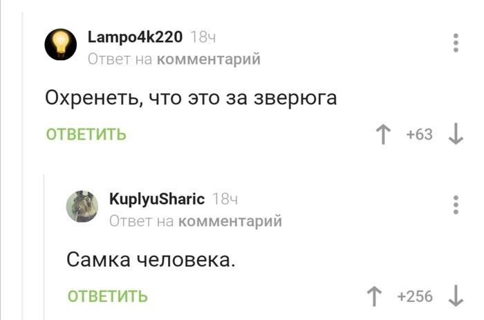 Про собак и не только - Собаки и люди, Собака, Скриншот, Комментарии на Пикабу, Видео