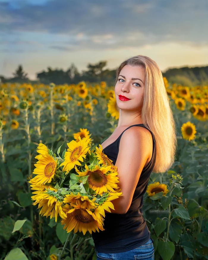 Bouquet of sunflowers - My, The photo, Portrait, Sunflower