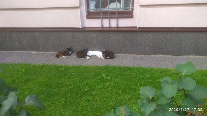 Отвали, кожаный ублюдок, не мешай спать