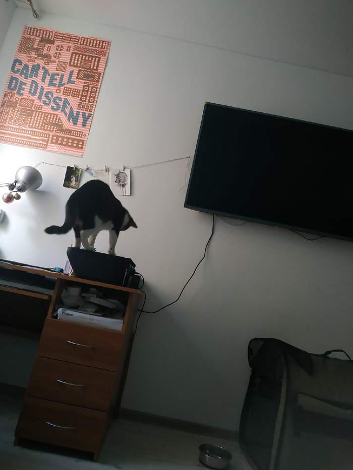    , , 