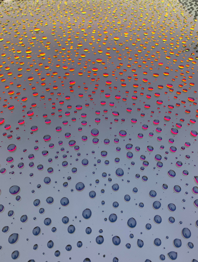 Drops on the roof of a car during sunset - Drops, Auto, Sunset, beauty