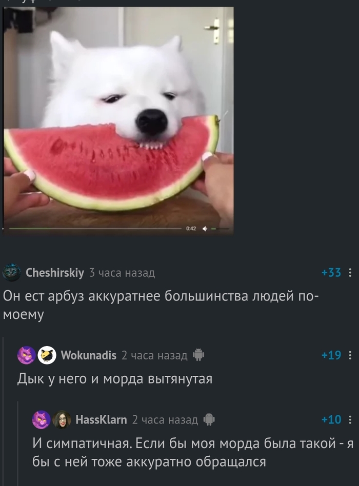     , ,   , 