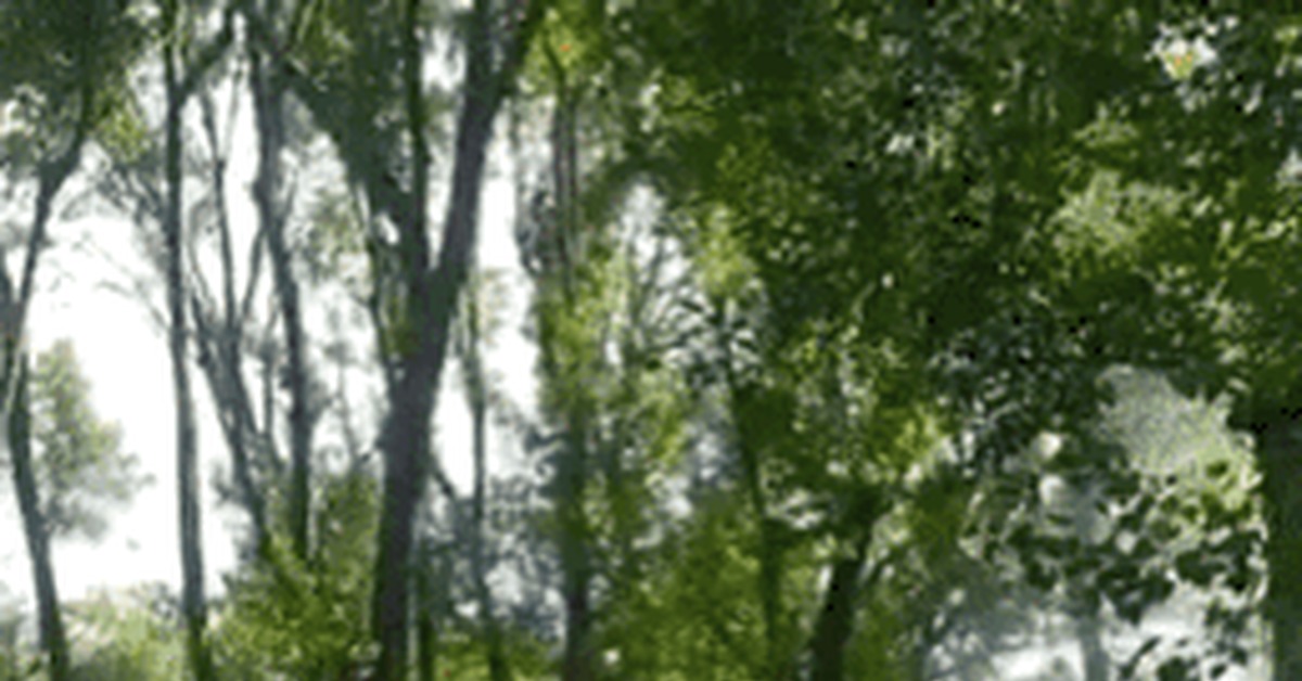 Poplar fluff, heat, July... - Poplar fluff, Fire, Fire, Childhood, From the network, GIF