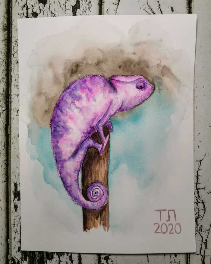 Chameleon - My, Watercolor, Learning to draw, Drawing, Chameleon