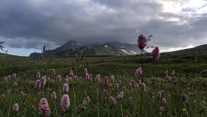 An essay on the ascent to Mount Oshten, a brave feat and a dashing escape from a thunderstorm - My, Hike, Caucasus, , Tourism, Feature article, 2020, Oshten, Longpost, Lago-Naki plateau