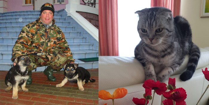 Ответ на пост «Бизнесмен переехал щенка ради забавы!!?»