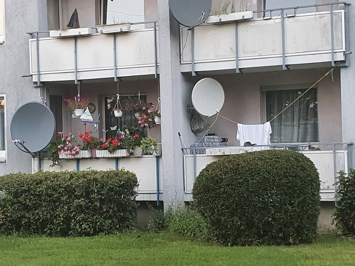 ������ ������ ���� �����