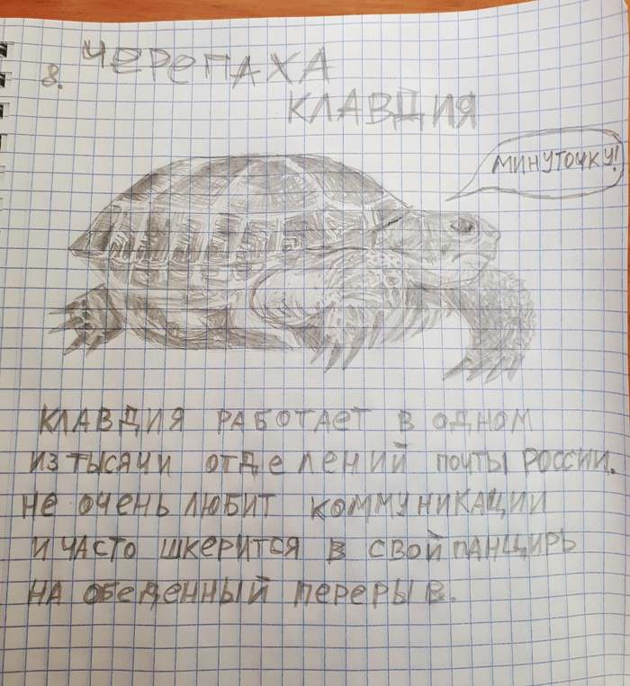 Zoo 8. Turtle Claudius - My, Zoo, Turtle, Claudia, Art, Humor, Pencil drawing, Pencil