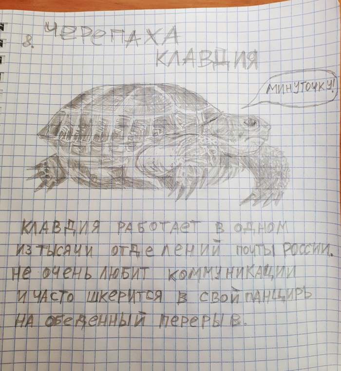 Zoo 8. Claudius the Tortoise - My, Zoo, Turtle, Claudia, Art, Humor, Pencil drawing, Pencil