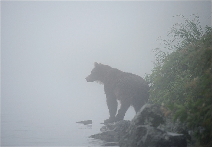 �������������!!!