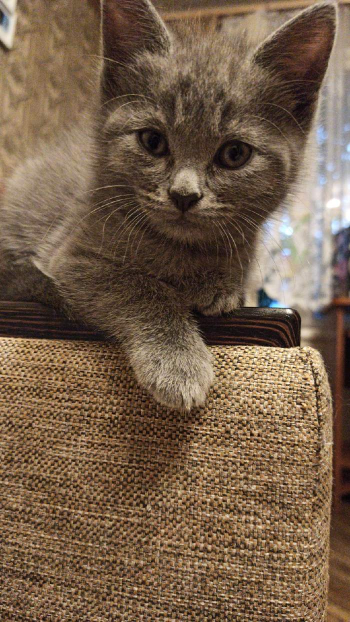 � ����� ���� ����������