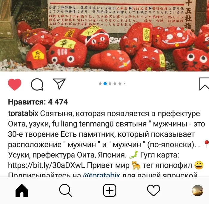 Вижу подобное и тихо вздыхаю, что я атеист-материалист... - Япония, Кот, Храм, Instagram, Длиннопост