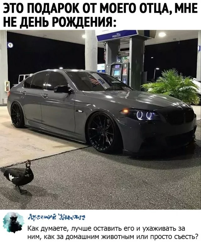 A gift from my father - Picture with text, Presents, Bmw, Duck