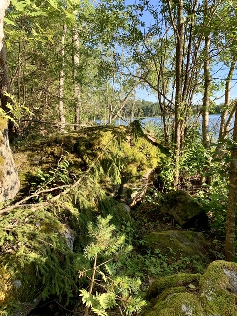 Beauty of Karelia - My, Карелия, Lakhdenpokhya, Nature, The photo, Longpost