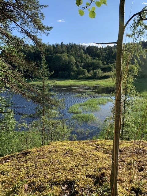 Beauty of Karelia - My, Карелия, Lakhdenpokhya, Nature, The photo, Longpost