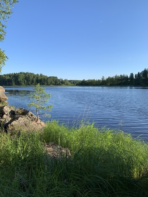 Beauty of Karelia - My, Карелия, Lakhdenpokhya, Nature, The photo, Longpost