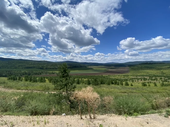 Беларусь - Магадан на велосипеде. 8.000 из 11.000 км. Часть 4 Велосипед, Путешествия, Якутск, Магадан, Колыма, Палатка, Бурятия, Длиннопост, Республика Беларусь