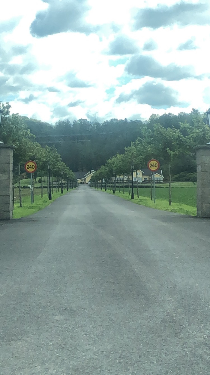 Ограничение скорости