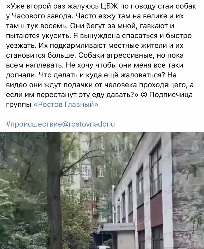 Zoo defenders - Radical animal protection, Screenshot, Images, Rostov-on-Don, Longpost, Comments