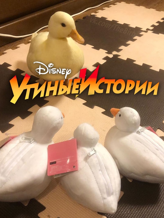 , --! ,  , , 