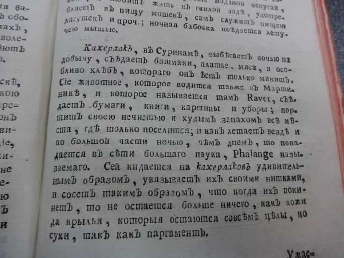 Таинственный кахерлак - Моё, Длиннопост, Насекомые, Филология, Юмор, Профессиональный юмор, Тараканы, Книги