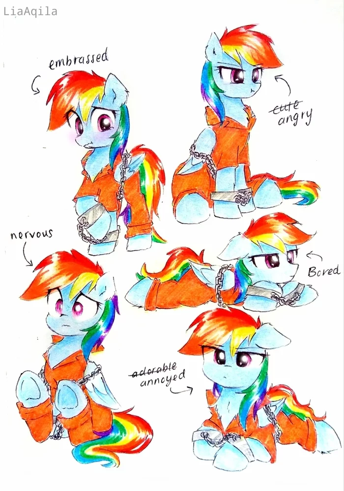 Оранжевая Дэши - My Little Pony, Rainbow Dash, Liaaqila