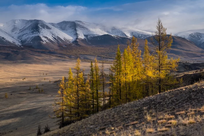 Kurai steppe - My, Altai Republic, The mountains, Siberia, The nature of Russia, Nature, Landscape, The photo, Autumn