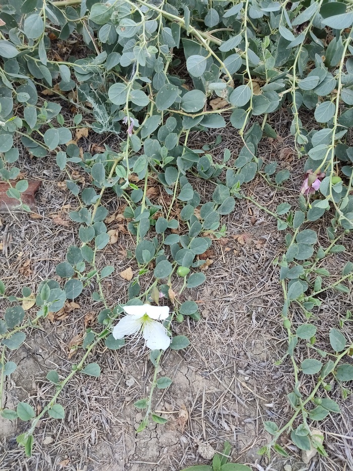     , , , 