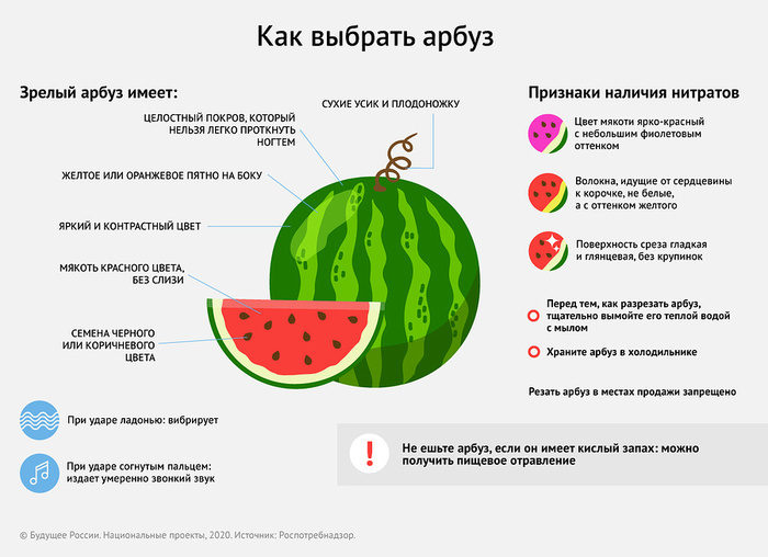 Как выбрать самый вкусный арбуз