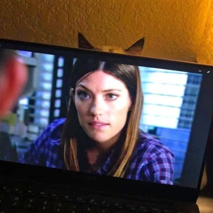 Detective Debra Murgan - Dexter, cat, Debra morgan, Notebook