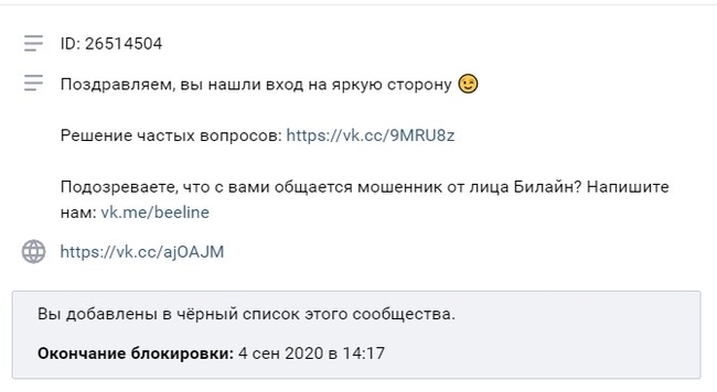 Билайн — не стоило и пробовать - Моё, Билайн, Жалоба, Клиентоориентированность, Длиннопост, Переписка, Скриншот, Текст