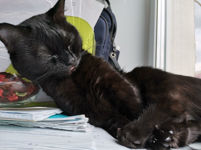 суп с котом комбинация. 15966125521964370. суп с котом комбинация фото. суп с котом комбинация-15966125521964370. картинка суп с котом комбинация. картинка 15966125521964370. Слушайте Russian Girls — Комбинация на Яндекс.Музыке