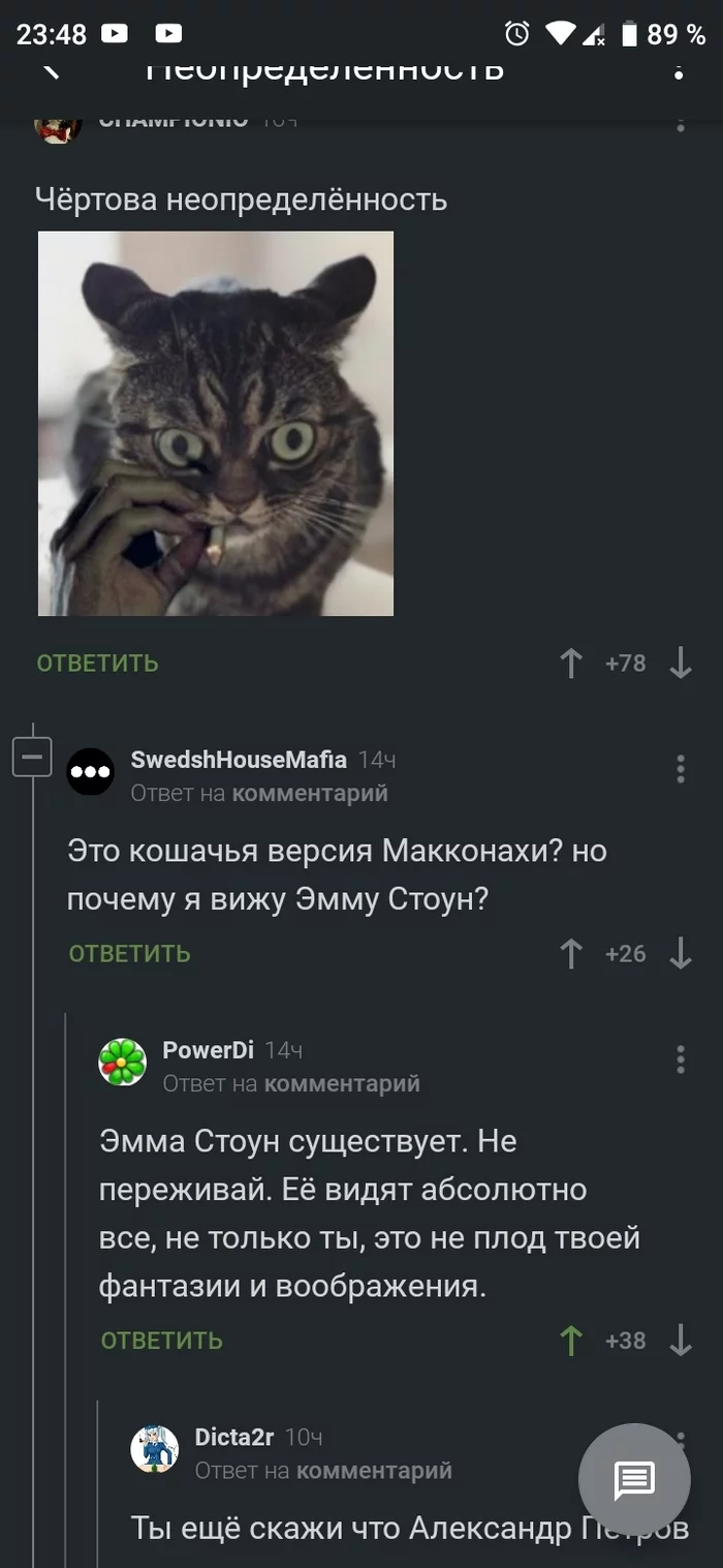 Everyone sees - Comments on Peekaboo, cat, Longpost