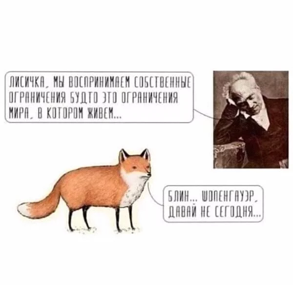 Lyrical mood! - Humor, Philosophy, Fox, Arthur Schopenhauer, Pessimism