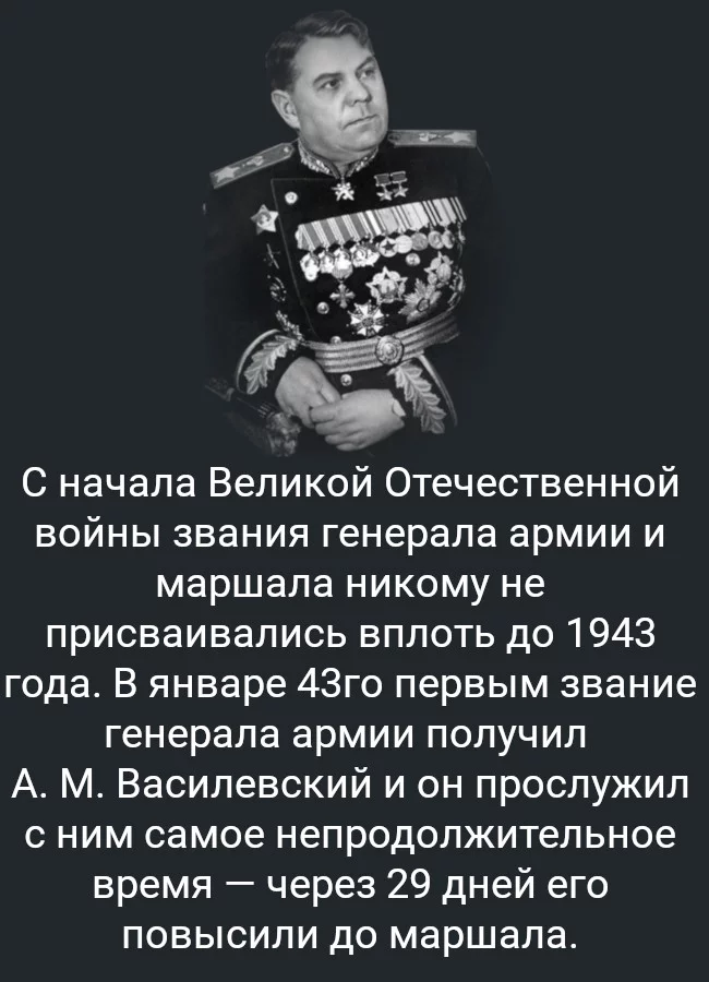 Marshall fact - Facts, Informative, Picture with text, Story, General, Marshal, Vasilevsky, The Great Patriotic War