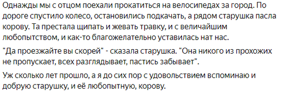 Немного о любопытстве животных - Картинка с текстом, Корова, Любопытство, Юмор