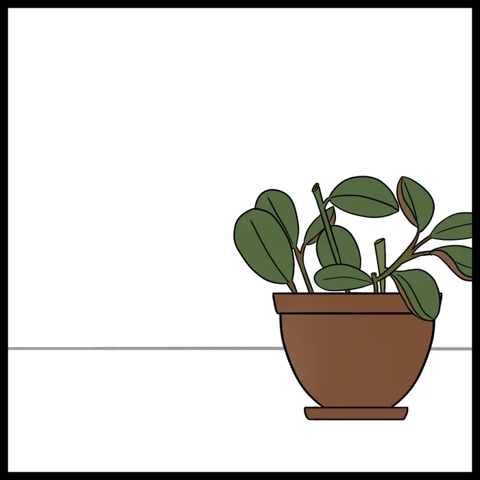 Silly Stories. Peperomia - My, Comics, Web comic, Author's comic, Houseplants, Peperomia, Plants, Longpost