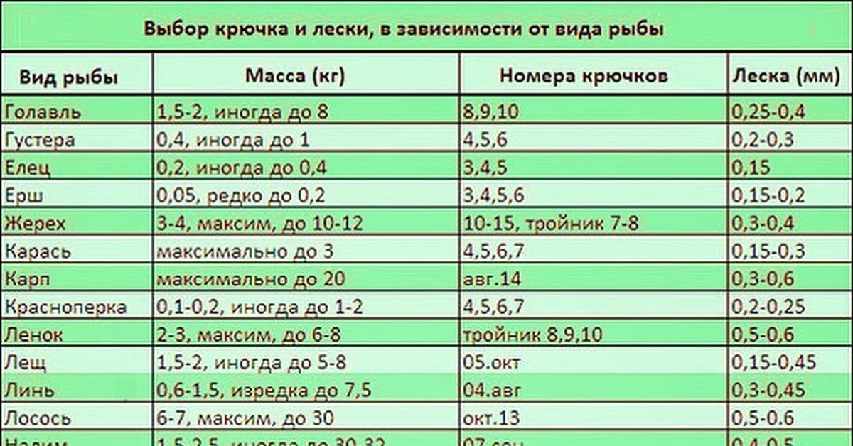 Какую рыбу давать в 8 месяцев. Толщина лески для ловли рыбы. Толщина лески и вес рыбы. Номера лески для рыбалки.