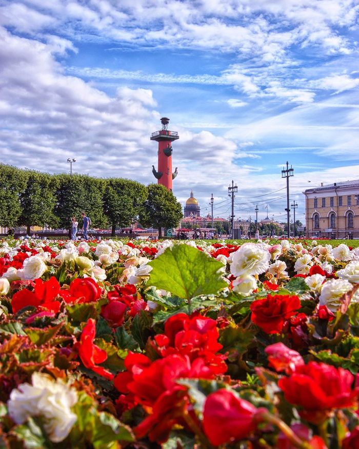 С добрым утром!