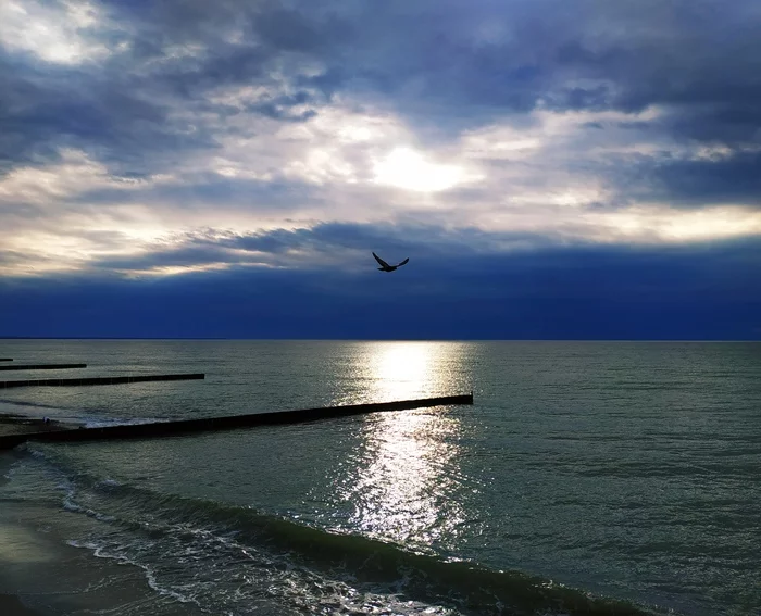 Baltic Sea - My, Zelenogradsk, The photo, Xiaomi Mi Max 3, Sea