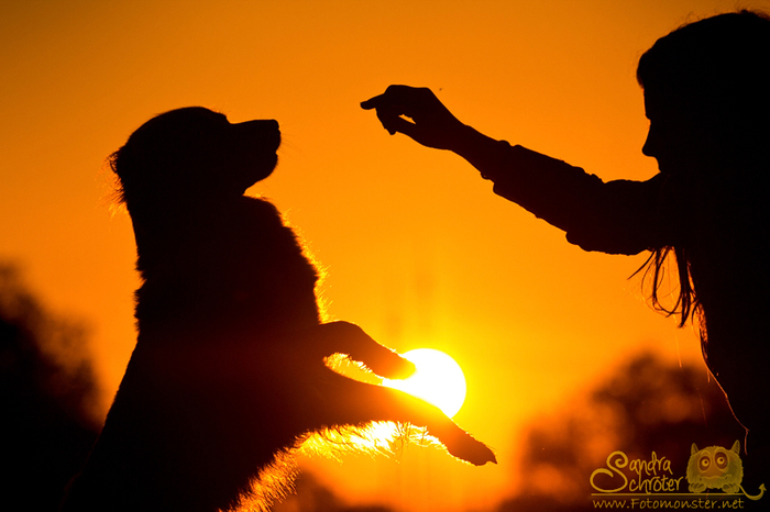 Танец Жизни