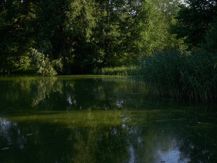 Озеро Астраханка / ТОП красивых мест Чувашии / Завтрак Туриста Чувашия, Чебоксары, Марий Эл, Озеро, Астрахань, Завтрак, Путешествия, Видео, Длиннопост