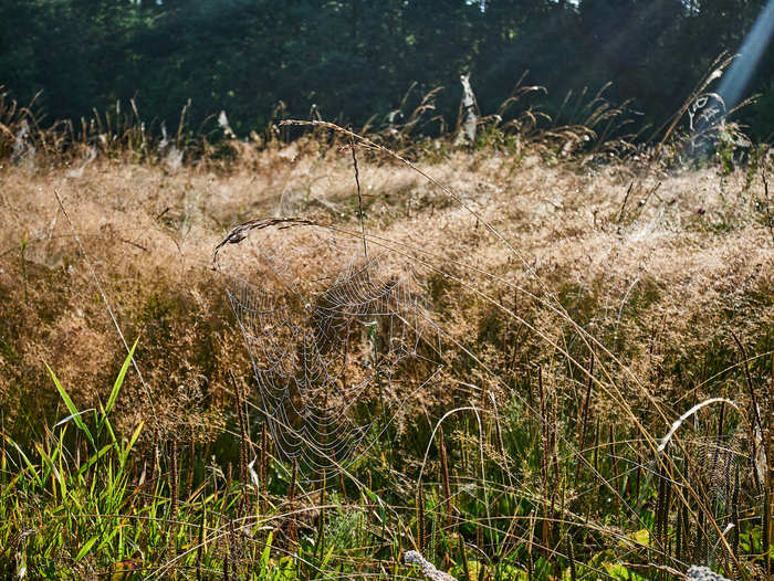 Озеро Астраханка / ТОП красивых мест Чувашии / Завтрак Туриста Чувашия, Чебоксары, Марий Эл, Озеро, Астрахань, Завтрак, Путешествия, Видео, Длиннопост