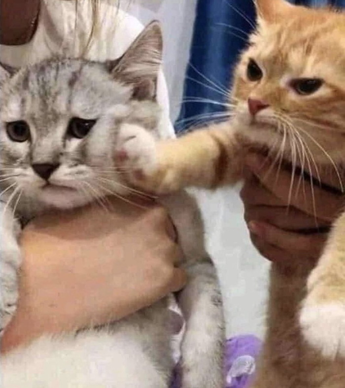 Ýìîöèè