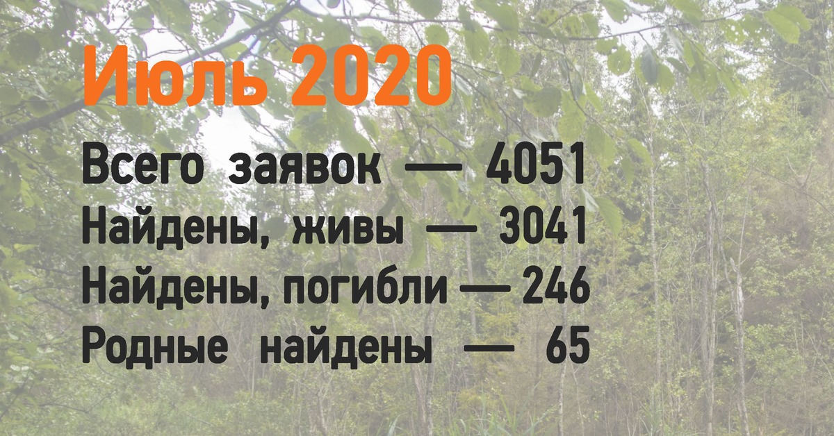 Июль 2020. Статистика Лиза Алерт за 2020. Лиза Алерт 2020. Потерявшиеся люди в лесу статистика. Статистика отрядов Лиза Алерт.